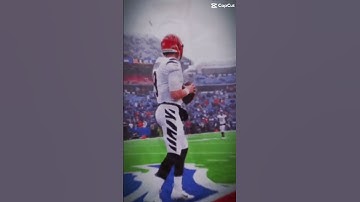 Justin Fields and Joe Burrow edit