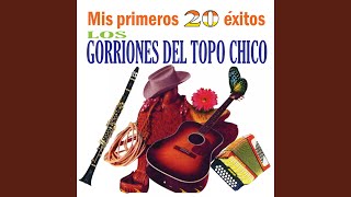 Video thumbnail of "Los Gorriones De Topo Chicho - Virgen de Mi Soledad"