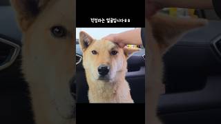 병원 가는 거 아니야