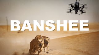 Introducing the Banshee x8 Cinelifter drone - Johnny FPV