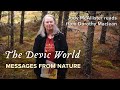 The Devic World Judy McAllister Messages From Nature The Devic World Judy McAllister Messages From Nature