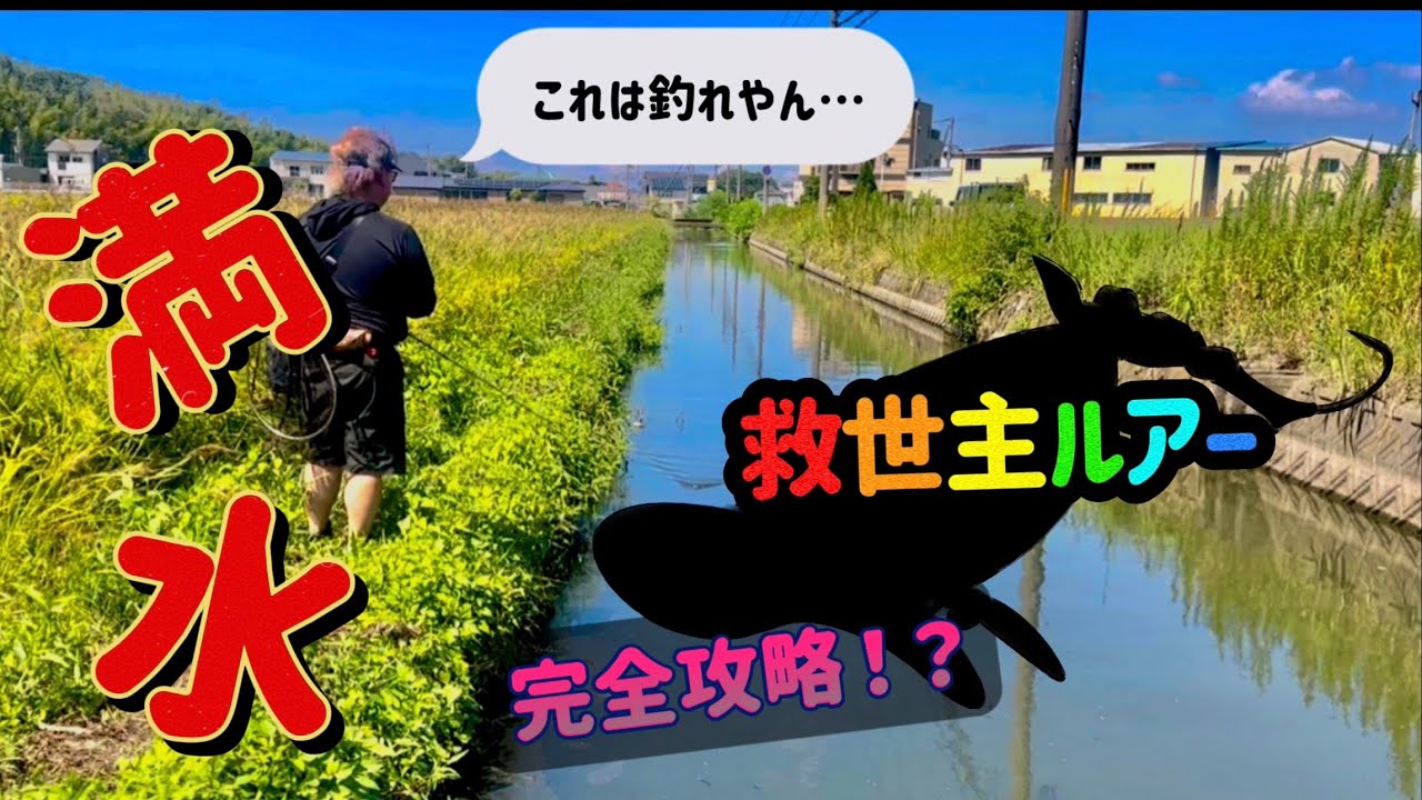 【神ルアー爆誕⁉️】これがダメならトップ鯰は諦めろwタフなナマズもコレにかかれば…
