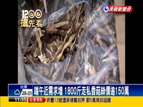 中國快艇走私香菇絲 海巡登檢落海掛彩－民視新聞