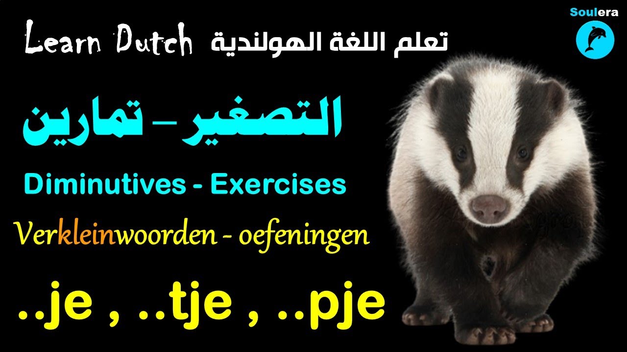 د70- خطوة 48: التصغير في اللغة الهولندية - أمثلة وتمارين 🐬