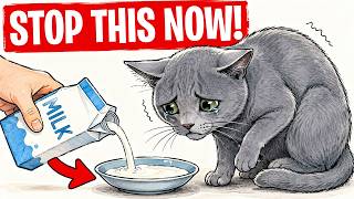 7 DEADLY Things You Do to Your Cat — It's Hurting Them