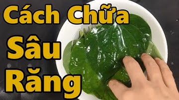 Đau răng, sâu răng, ê buốt răng đến mấy chỉ cần dùng lá Lốt theo cách này là khỏi hoàn toàn
