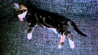 20141003 215426