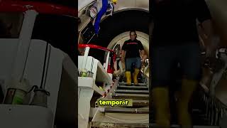 Spaziergang Auf Dem Flussgrund