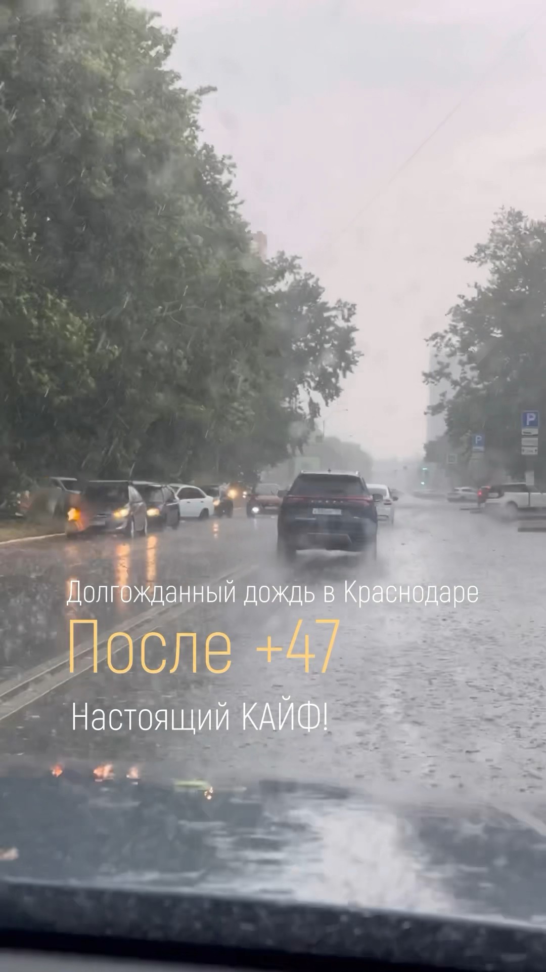 Краснодаре погода на 10