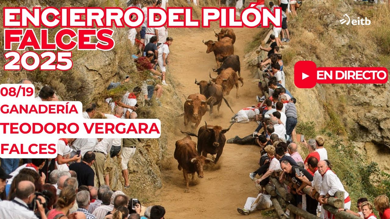19/08/2025 🔴 DIRECTO 🔴 ENCIERRO DEL PILÓN 🔴 FALCES
