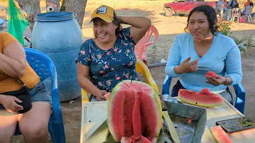 Sandías 🍉🍉😋🤤 en TLAXMALAC GRO. déjense venir a la mera huerta 🍉