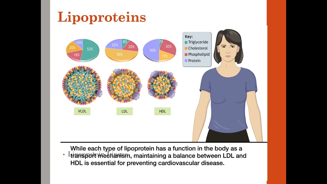 Lipid Metabolism