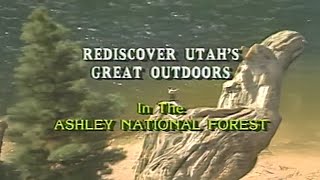 Rediscover Utahs Great Outdoors: Ashley National Forest, 1990 (Full Vintage Documentary)