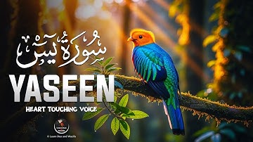 Surah Yaseen (Yasin) سورة يس | Powerful Quranic Healing & Spiritual Rest for the Soul | EP-05