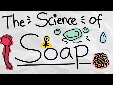 How Does Soap Clean Dishes and Kill Bacteria?