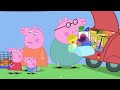 Peppa Pig | Guinea Pig | Peppa Pig Official | Family Kids Cartoon