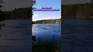 КРАСОТИЩА!ПЫТАЮСЬ ЛОВИТЬ ФОРЕЛЬ В ТАКИХ МЕСТАХ! #природасеверногокрая #природа #живаяприрода #форель
