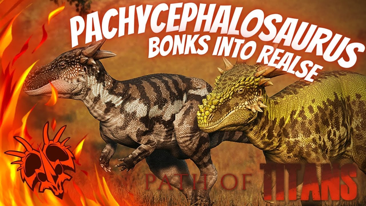 Pachycephalosaurus Bonks Into Release Path Of Titans YouTube pachycephalosaurus-bonks-into-release-path-of-titans-youtube