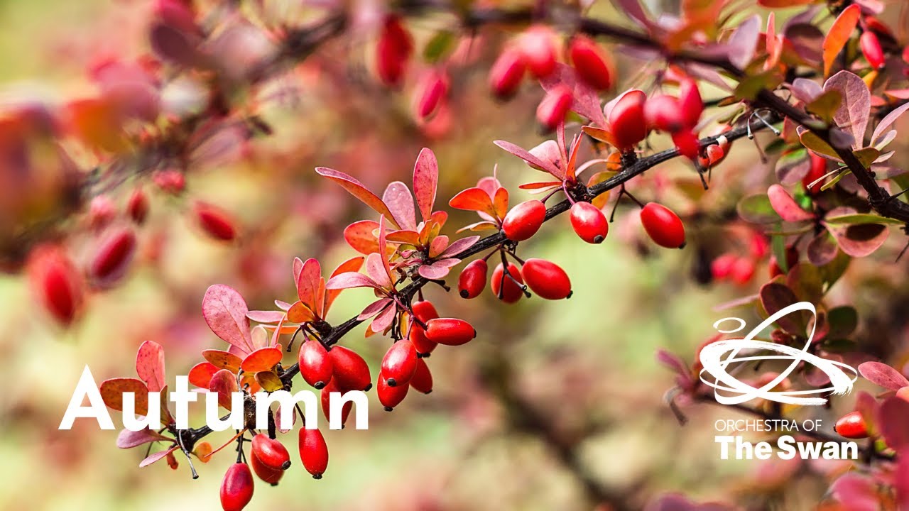 Autumn - Nurture Nature