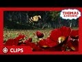 Youtube Thumbnail title