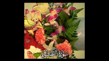 سورة النصر فارس عباد