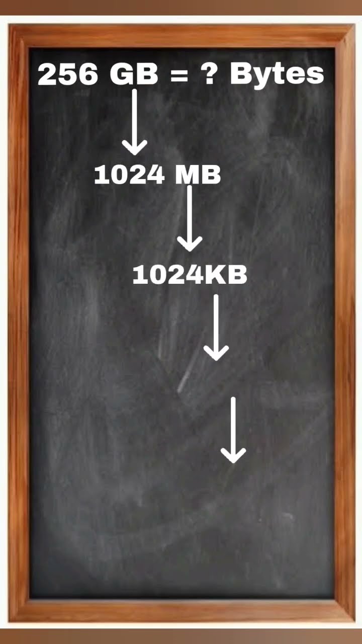 How Much Data Can 256GB SD Can Hold shorts sdcard YouTube How Much Data Can 256GB SD Can Hold shorts sdcard YouTube
