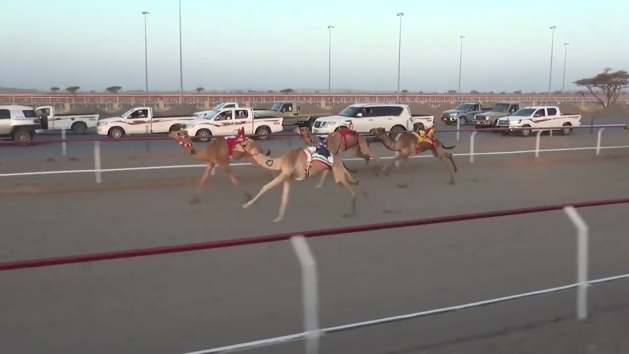 ش4الحنيش لــ حمدان بن سالم الجحافي 2:12