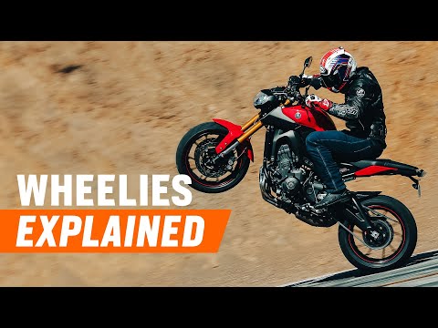 Why Motorcycles Wheelie | The Shop Manual
