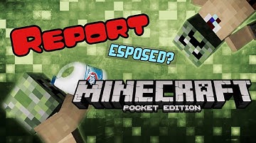 Report | MCPE | LBSG CTF