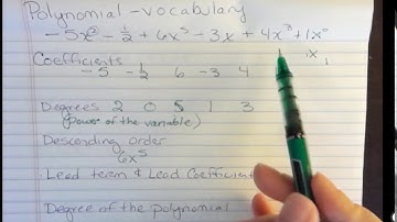 Polynomials: Vocabulary