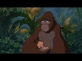 Tarzan Kala Shows Tarzan To The Gorillas