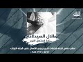 طلال الصیدلانی زفة إستهل النور طلال الصیدلانی زفة إستهل النور