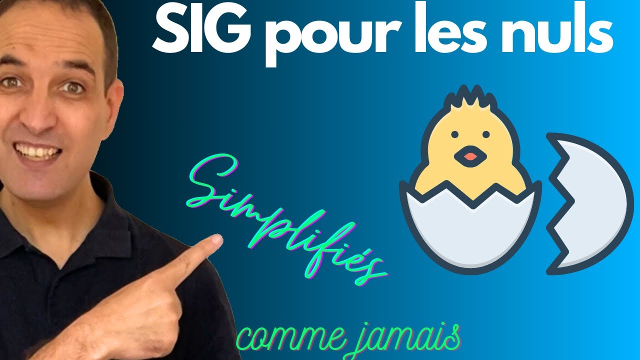 Que représentent les Soldes Intermédiaires de Gestion ? + Les Ratios