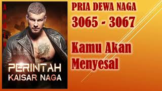 PERINTAH KAISAR NAGA * PRIA DEWA NAGA * 3065-3067