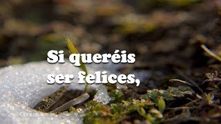 Video thumbnail of "Cuando Andemos Con Dios, (Pista 18) –Himnario Seleccionado"