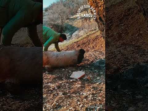 خورد کردن هیزم در زمان قدیم