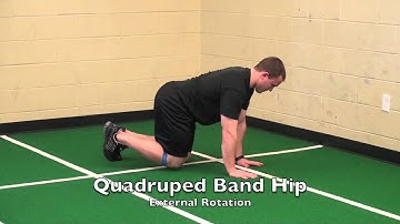 Quadruped Band Hip External Rotation