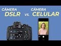 CELULAR vs CÂMERA DSLR - comparação de fotos