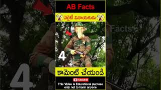 వరట వనయకడ Variety Ganesh Statues For 2024