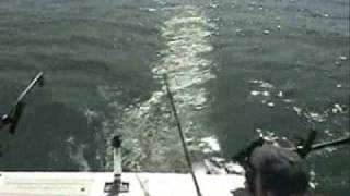 Uncle Bob's 1st spring king on Lake Ontario