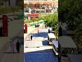 Hashar ky din #shorts #youtubeshorts #makkah #madina #naveediqbalchishti #foryou #viral