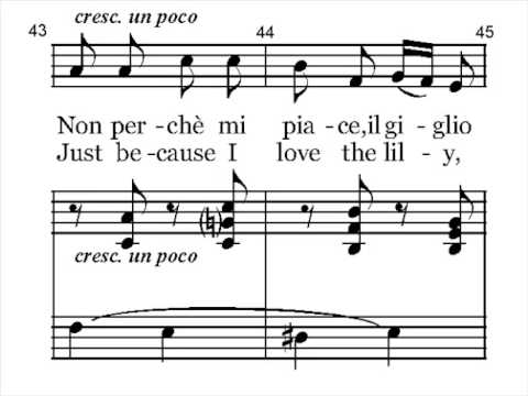 pergolesi se tu ma mi accompaniment only live piano for se tu m ami sheet music