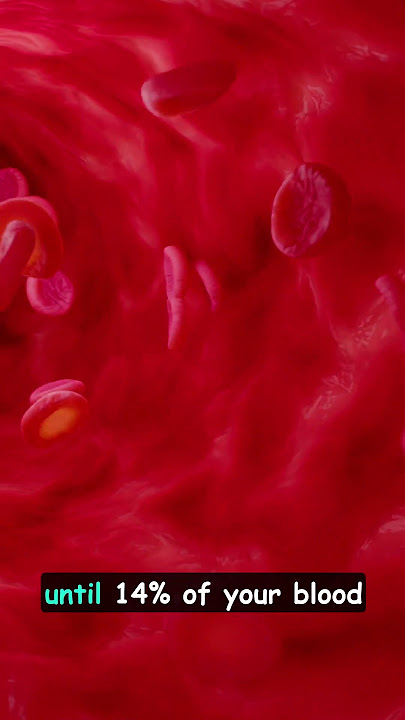 How much blood loss will cause death