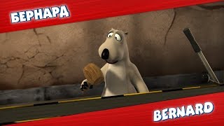 видео: БЕРНАРД: Завод и многое другое | Подборка серий картинка: БЕРНАРД: Завод и многое другое | Подборка серий
