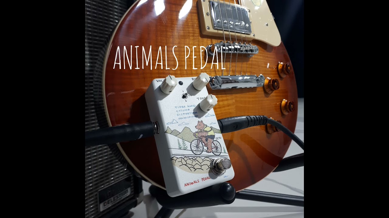 DEMO #animalspedal TIOGA ROAD CYCLING DISTORTION with a
