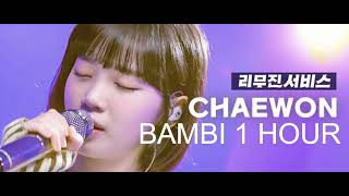 김채원 '밤비' 1시간 Kim Chaewon 'Bambi' cover 1 hour