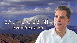 Salihe Qubine- Evdalê Zeynikê -Official Music Video Medya Müzik
