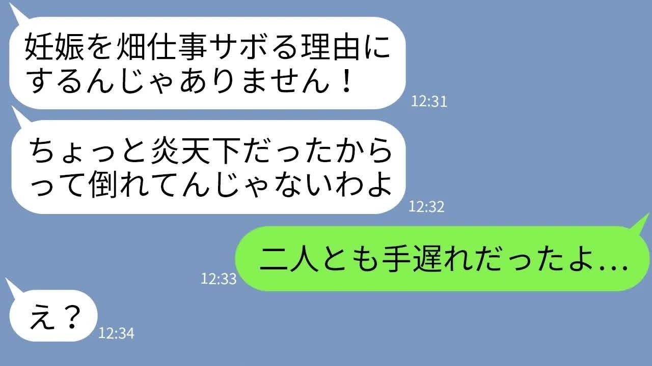 【LINE】臨月の嫁を炎天下で無理やり畑仕事させて緊急搬送させた姑「妊婦だからって甘えるな！」→一切悪びれないクズ姑に衝撃の事実を伝えた時の反応が…