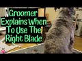 How Groomers Use The 10,7FC,4FC and 15 Blade