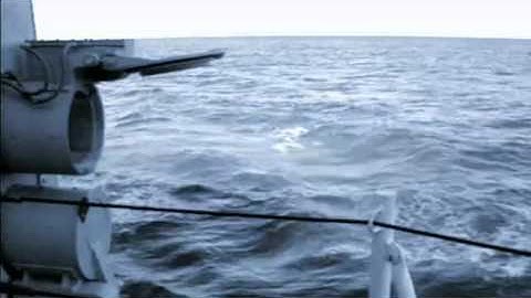 Naval Combat Systems Engineering Officer